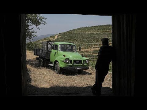 Conhe&ccedil;a as Vantagens da Carrinha 3500kg: Pot&ecirc;ncia e Versatilidade