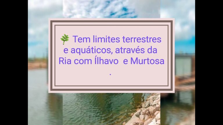 CAP EM Aveiro: Otimização e Eficiência na Agricultura