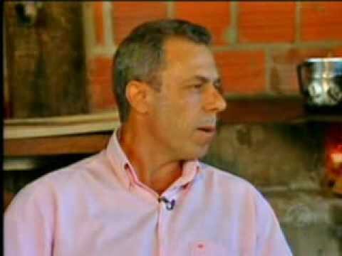 Conviv&ecirc;ncia harmoniosa: a rela&ccedil;&atilde;o entre ovelhas e gado