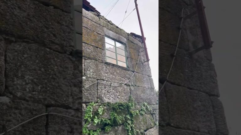 Casas Penhoradas em Viseu: Oportunidades Imobiliárias