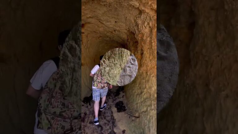 Como chegar de Albufeira a Lagos: O guia definitivo
