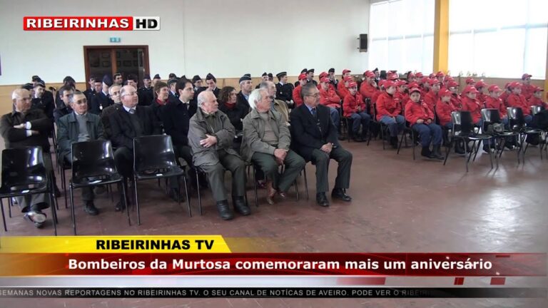 Bombeiros de Murtosa: Her&oacute;is em A&ccedil;&atilde;o