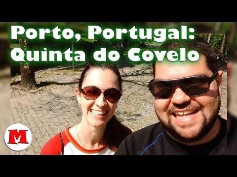 A encantadora Quinta do Covelo no Porto