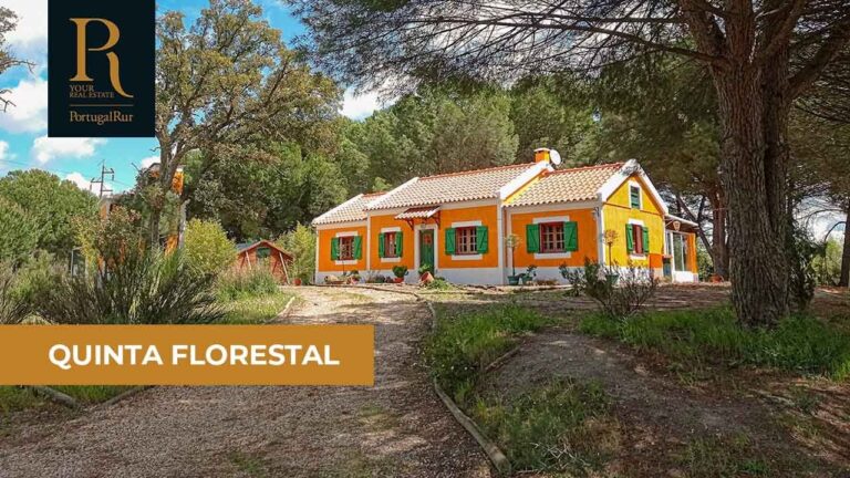 Descubra as melhores casas em Benavente para comprar ou alugar