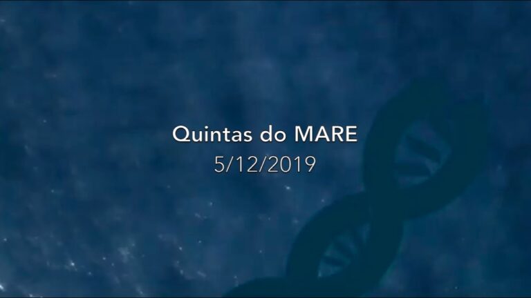 Recursos End&oacute;genos: Potencialidades e Desafios