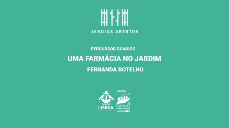 Farmácia Encarnação: A Solução para suas Necessidades de Saúde