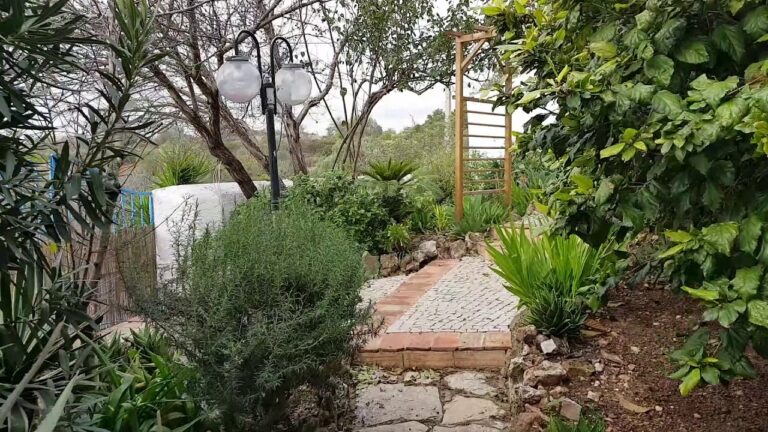 Arrendamento de Casa em Loulé: Opções otimizadas e práticas