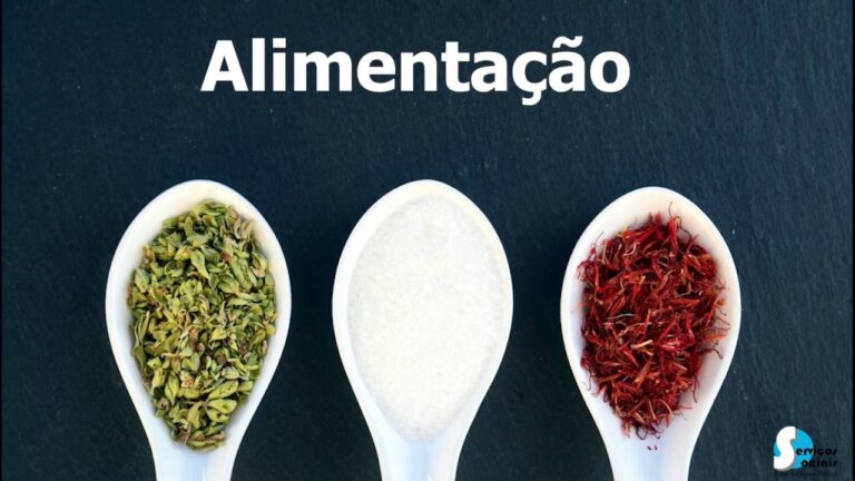 Otimiza&ccedil;&atilde;o da administra&ccedil;&atilde;o p&uacute;blica: efici&ecirc;ncia nos servi&ccedil;os sociais e refeit&oacute;rios