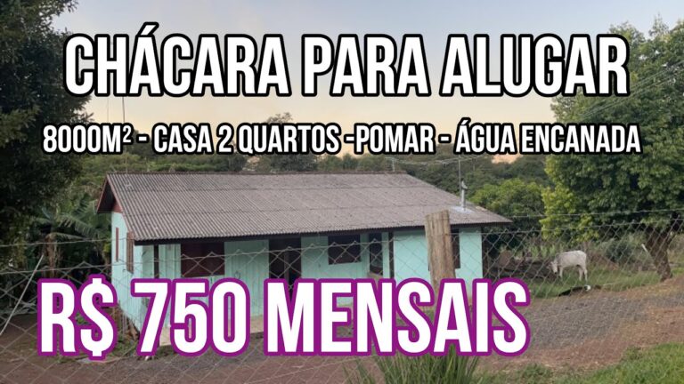 Aluguel de Casas de Campo: A Op&ccedil;&atilde;o Perfeita para o Ano Todo