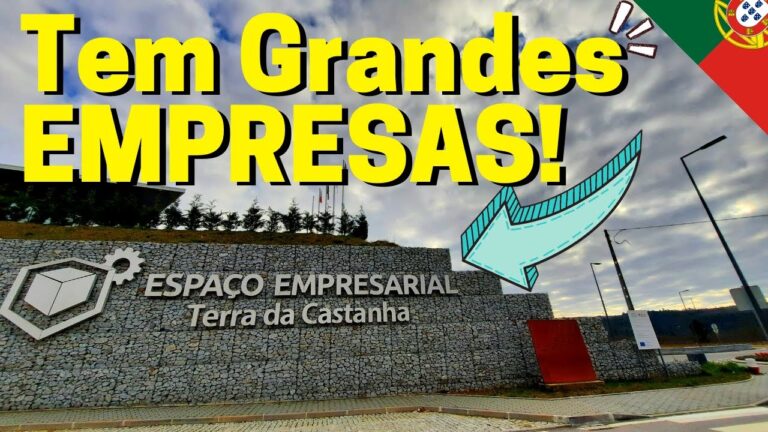 Empresas de Viseu: Oportunidades de Neg&oacute;cio na Regi&atilde;o