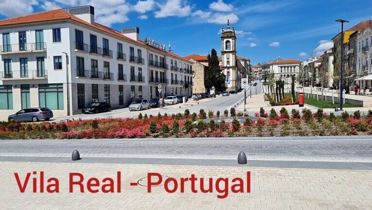 A População de Vila Real: Tendências e Desafios