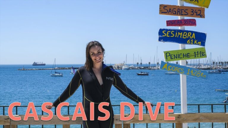 Curso de Mergulho em Cascais: Aprenda a Explorar as Profundezas do Mar