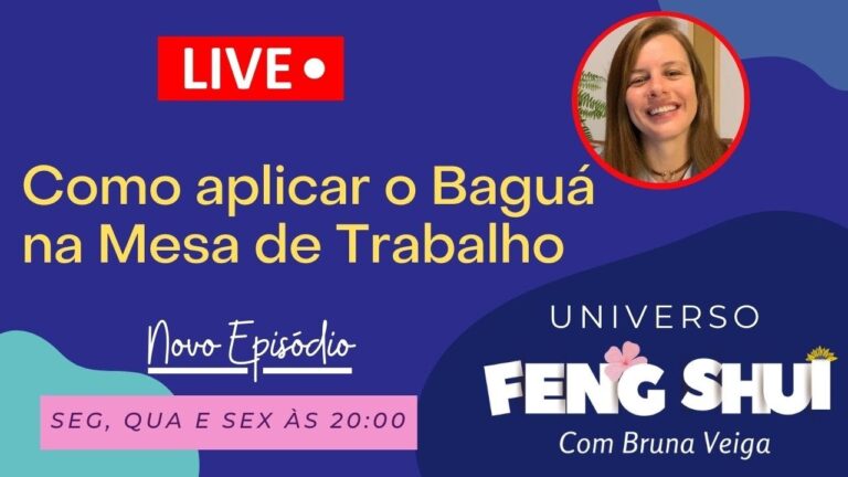 Como Usar o Bagu&aacute; no Trabalho