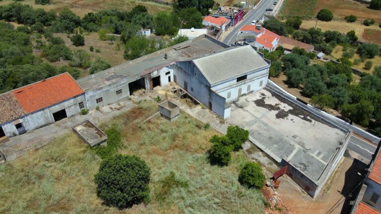 Vila Nova de Milfontes: Casas Penhoradas e Oportunidades