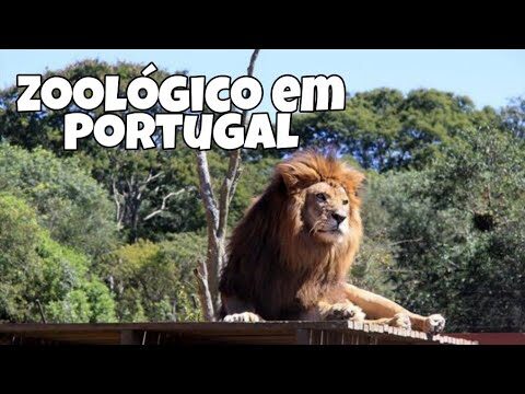 Recrutamento no Zoo Santo In&aacute;cio: Oportunidades Imperd&iacute;veis