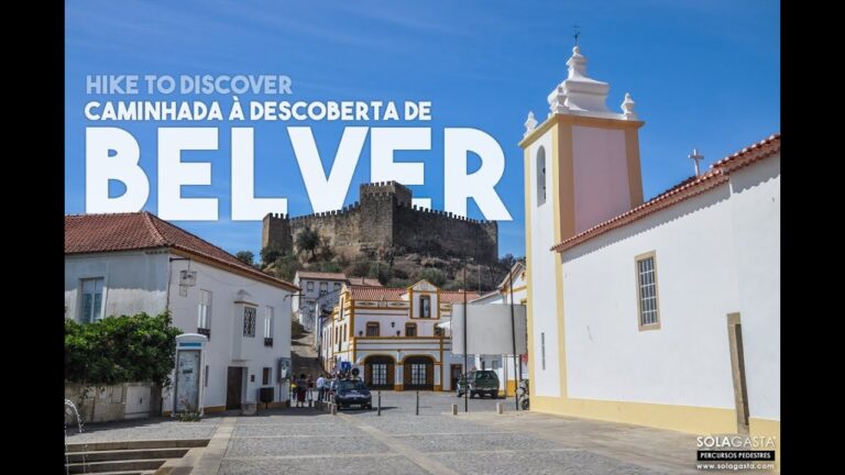 O Gavi&atilde;o Aveiro: Conhe&ccedil;a Esta Esp&eacute;cie de Ave Rara