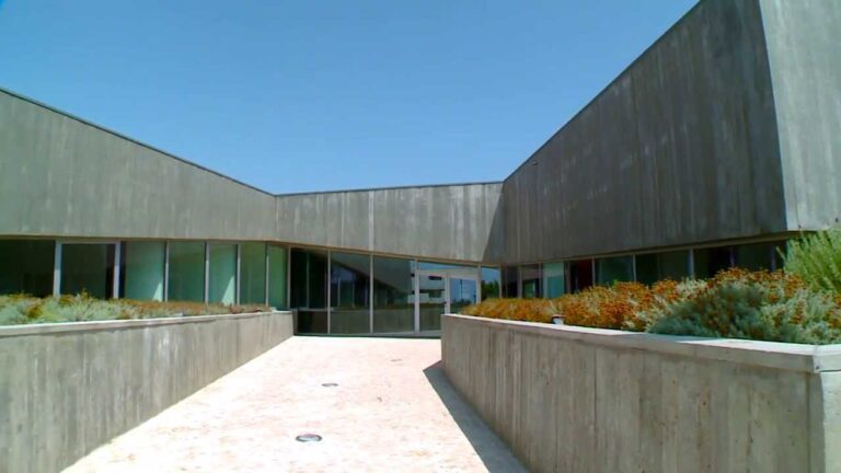 Biblioteca Maria Lamas: Um Tesouro Cultural em Portugal