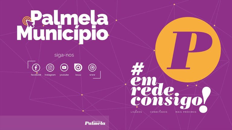 Finan&ccedil;as de Palmela: Estrat&eacute;gias otimizadas para o sucesso financeiro