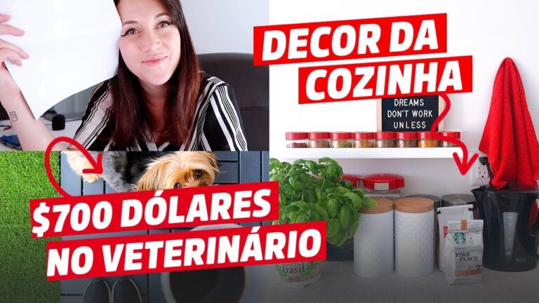 Servi&ccedil;os Veterin&aacute;rios de Qualidade em Condeixa