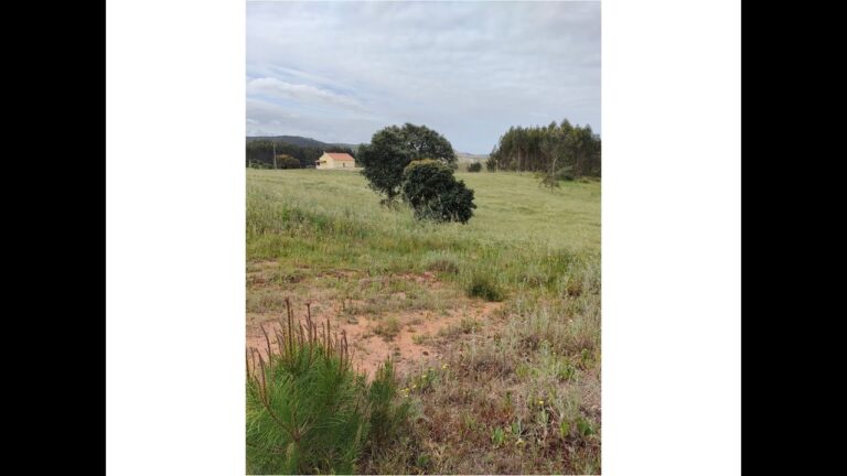 Otimiza&ccedil;&atilde;o de Processos com PDM em Torres Vedras