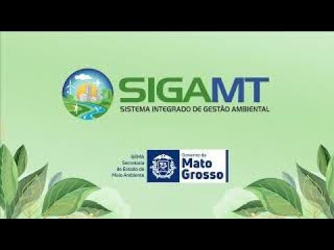 Guia Completo de Documentos Complementares