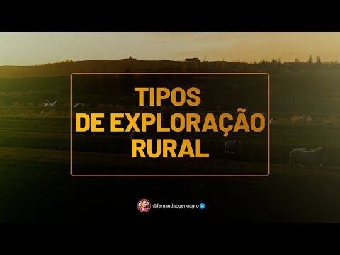 Os Diferentes Tipos de Explora&ccedil;&atilde;o