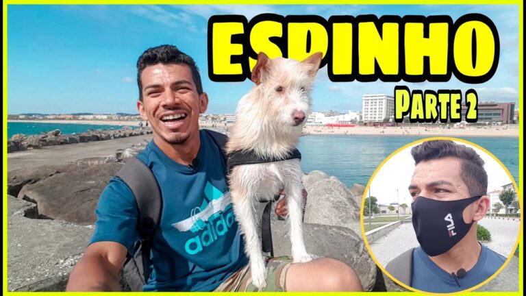 Guia Completo para Arrendamento em Espinho, Portugal