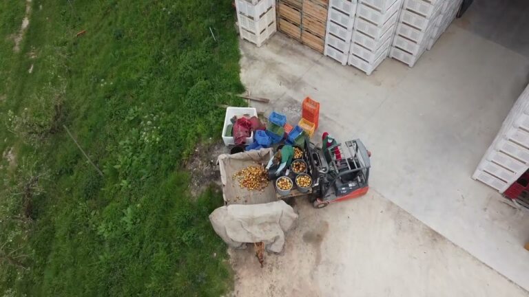 Tratores Usados em Ourique: Guia de Compra e Venda