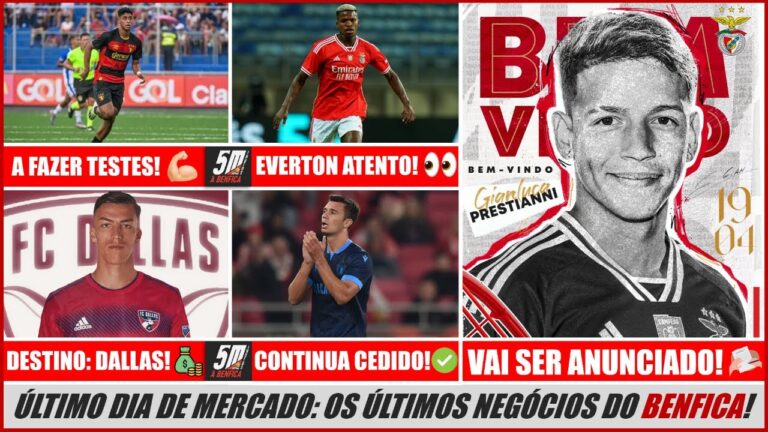 Hor&aacute;rio do Mercado de Benfica: Guia Completo