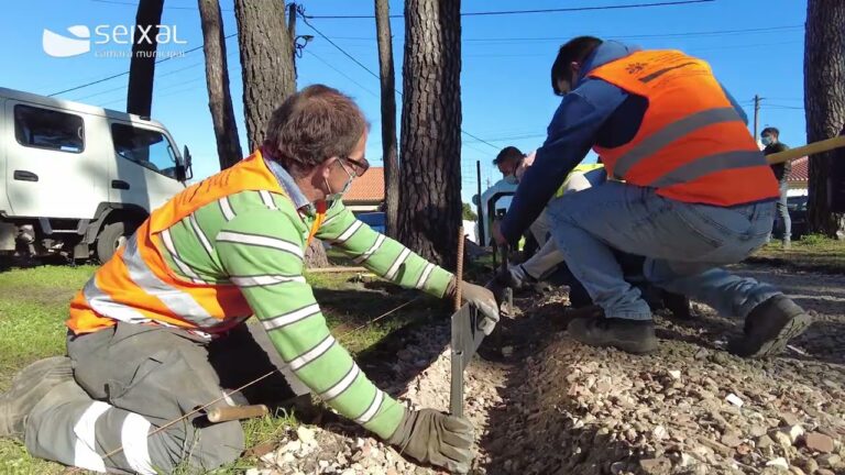 Descubra a magia da Quinta das Laranjeiras