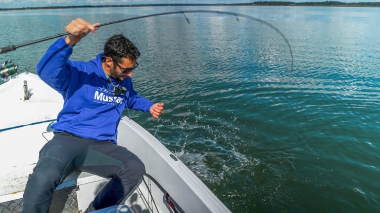 Guia Completo de Barcos de Pesca em Set&uacute;bal