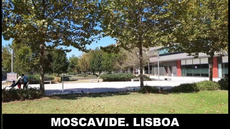 Explorando a Avenida de Moscavide