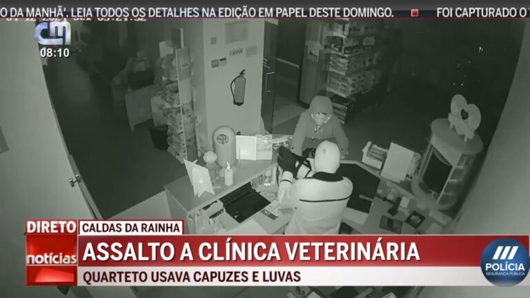 Cl&iacute;nica Veterin&aacute;ria em Caldas da Rainha: Servi&ccedil;os de Qualidade e Cuidados Especializados