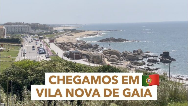 Aluguer de Carros em Vila Nova de Gaia: Guia Completo