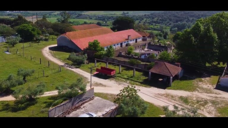Descubra as Melhores Quintas em Santar&eacute;m