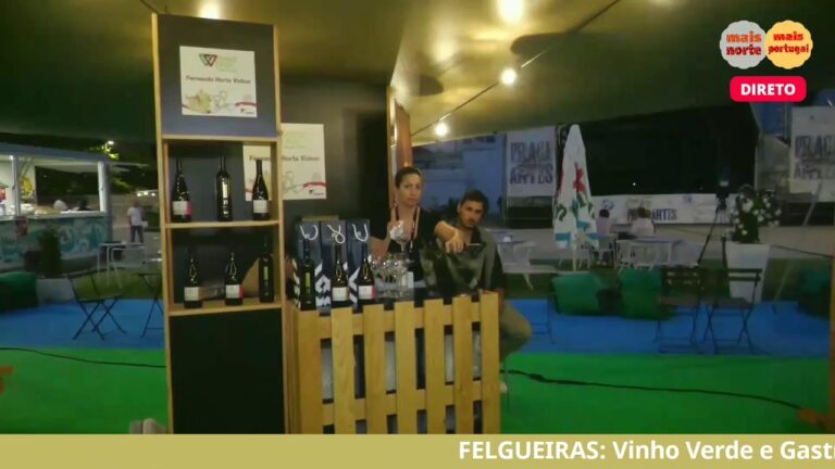 Vinho Felgueiras: Tradi&ccedil;&atilde;o e Qualidade em Cada Gota