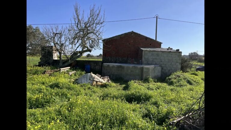 Descubra a Beleza de Silves: Guia de Viagem CTT
