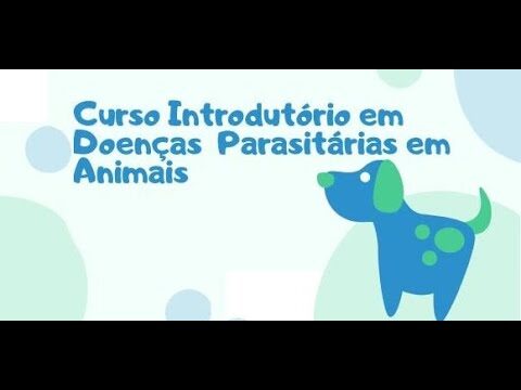 Recrutamento na Hospital Figueira da Foz: Oportunidades de Carreira