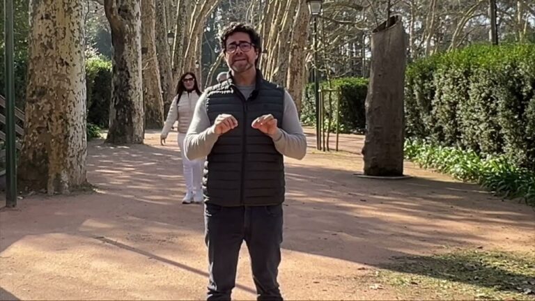 Pre&ccedil;o de uma Oliveira: Guia Completo