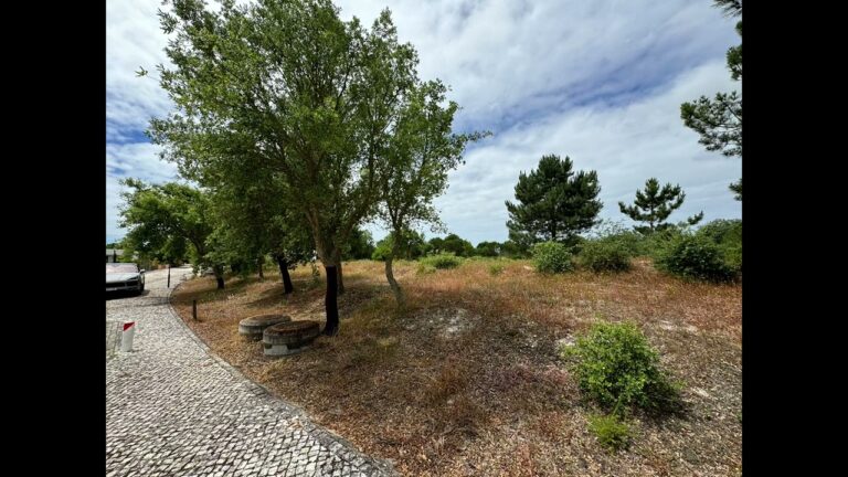 Terrenos &agrave; venda na Quinta do Conde: Guia Completo