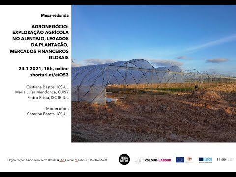 Inova&ccedil;&otilde;es na Explora&ccedil;&atilde;o Agr&iacute;cola: Sustentabilidade e Produtividade