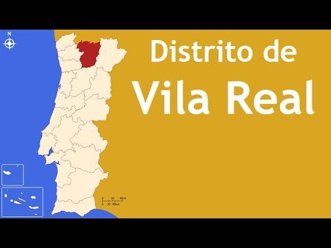 Popula&ccedil;&atilde;o de Vila Real: Tend&ecirc;ncias e Perspetivas