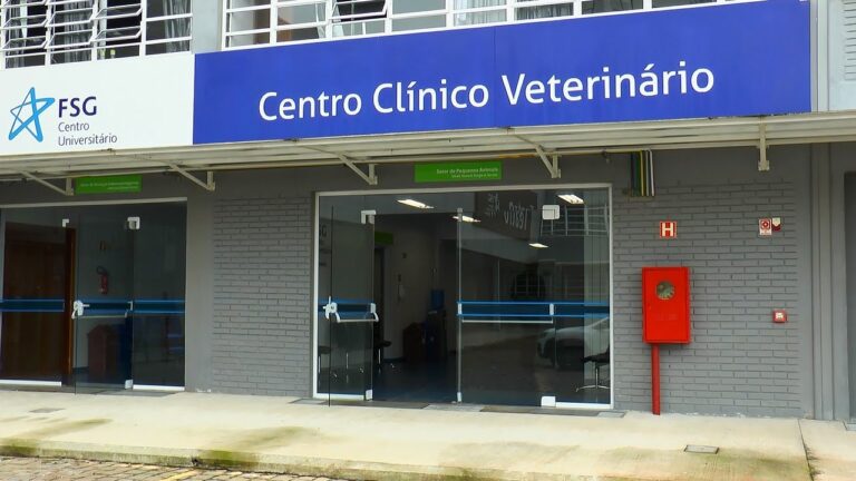 Veterin&aacute;rio em Tavira: Servi&ccedil;os Profissionais e Cuidados Especializados