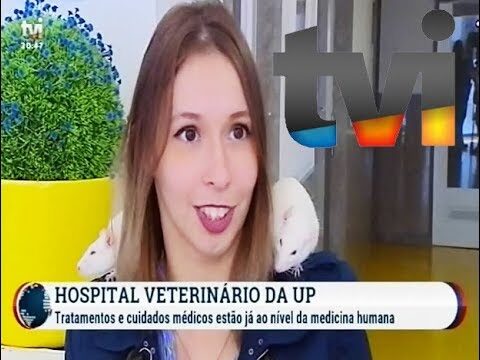 Veterin&aacute;rio em Oliveira do Douro: O seu parceiro de confian&ccedil;a para cuidar do seu animal de estima&ccedil;&atilde;o.