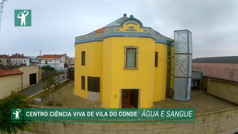 Centro Novas Oportunidades em Vila do Conde: Transformando Vidas e Carreiras