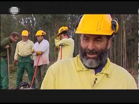O papel crucial do sapador florestal na preserva&ccedil;&atilde;o ambiental