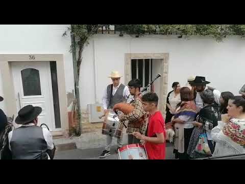 Explorando o Horto de Penafiel: Um Para&iacute;so Verde
