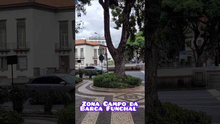 Otimizando o Estacionamento do Campo da Barca