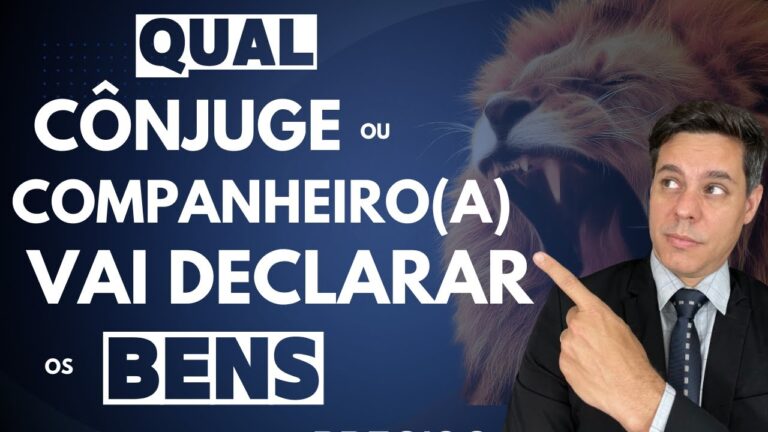Declara&ccedil;&atilde;o de Bens Comuns: Import&acirc;ncia e Procedimentos